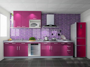 双一字型厨房设计技巧 双一字型厨房装修设计效果图案例